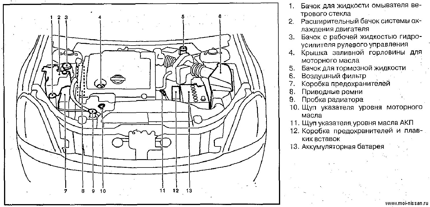 Что находится под капотом автомобиля схема