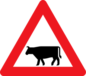 Traffic sign of Denmark: Warning for cattle on the road