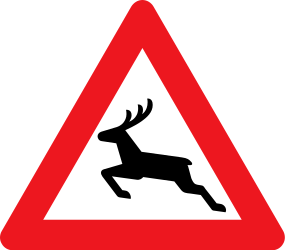Traffic sign of Denmark: Warning for crossing deer